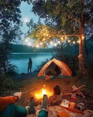 Night Camping paint by numbers