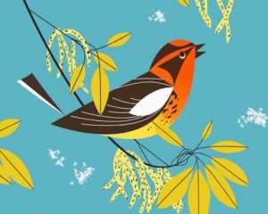 Bird By Charley Harper paint by numbers