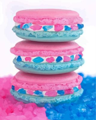 Cute Macarons Paint By Numbers