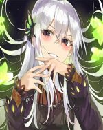 echidna re zero Anime paint by number