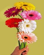 Gerbera Bloem paint by numbers