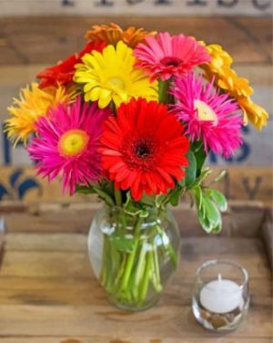Gerbera Daisy Flowers Paint by numbers