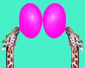 Giraffes With Bubblegum paint by numbers