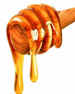 honey-illustration-paint-by-numbers