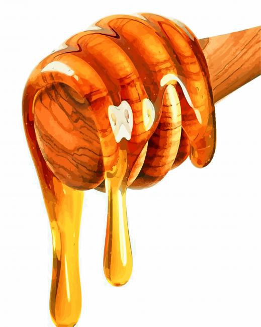 honey-illustration-paint-by-numbers