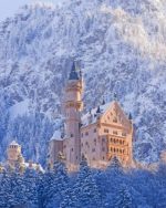 Snowyy Neuschwanstein Paint by numbers