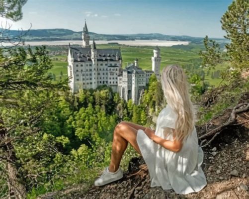Neuschwanstein View Paint by numbers