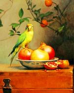 Pomegranate And Parrot paint by numbers