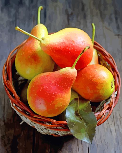 pears fruit paint by numbers