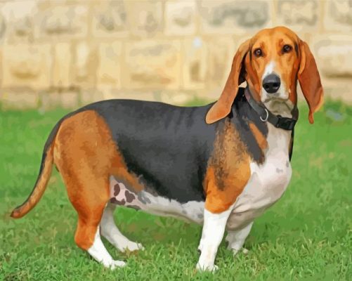 scent hound paint by numbers