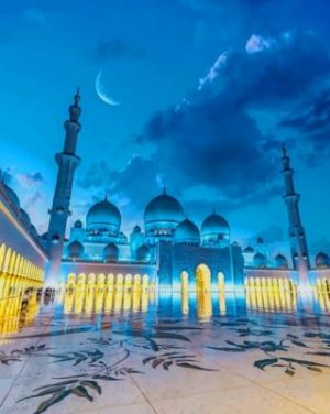 Sheikh Zayed Mosque At Night paint by numbers