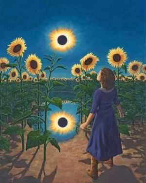 Sunflower field Paint by n