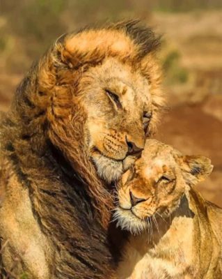 Cute Lion and Lioness 