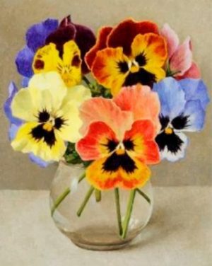 Vintage Pansy Flowers paint by numbers