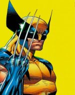 Wolverine Paint by numbers