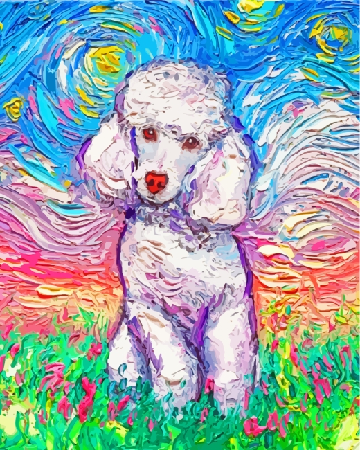 Colorful Poodle Dog Paint by numbers