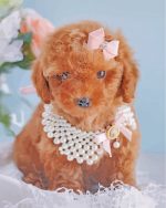 Cute Brown Poodle Paint By Number