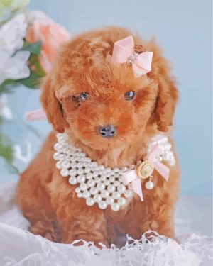 Cute Brown Poodle Paint By Number