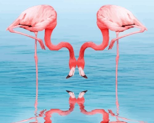 Flamingos Drinking Water paint by numbers