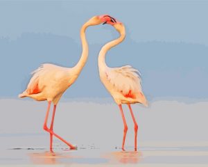 Flamingos Kiss paint by numbers