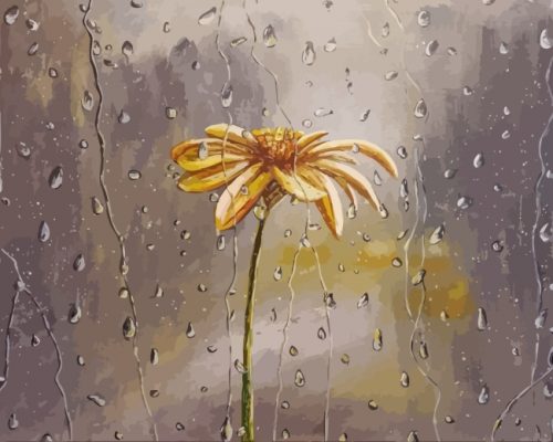 Flower In Rain paint by numbers