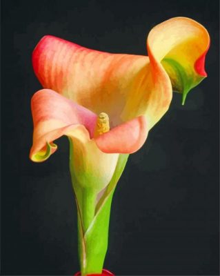 Golden Lily paint by number