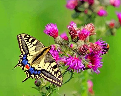 Lepidoptera paint by number