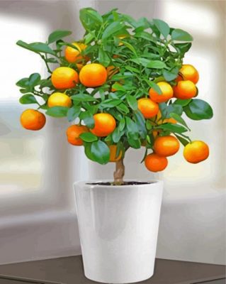 Orange Tree paint by number