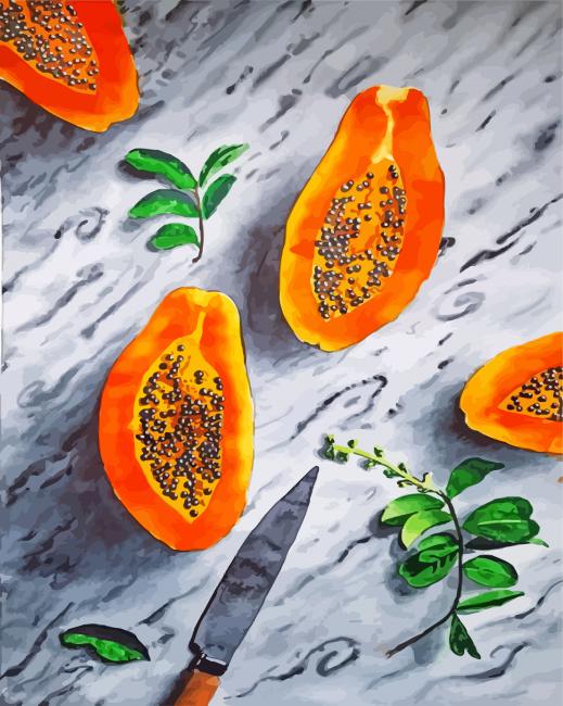 Papaya art paint by number