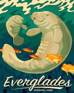 Seadogs Everglades National Park paint by number