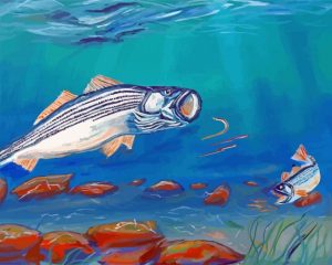 Striper Fish Art paint by numbers