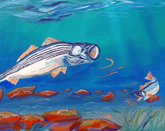 Striper Fish Art paint by numbers