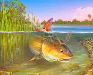 Striper fish paint by number