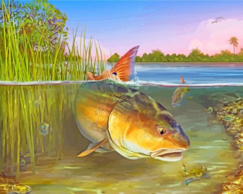 Striper fish paint by number