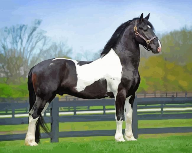 black and white Friesian horse paint by numbers