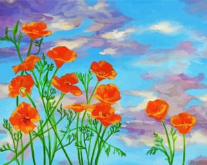 california poppy paint by number