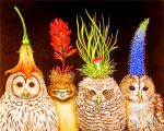 Cute Owls paint by numbers