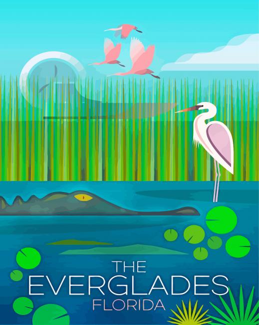 everglades national park florida paint by number