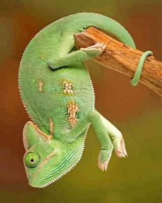 green chameleon paint by numbers