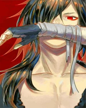 hyakkimaru dororo paint by number