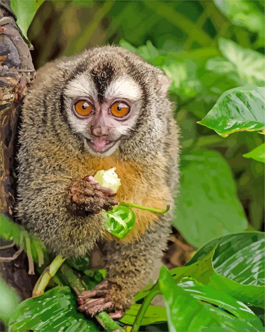 night monkey paint by number