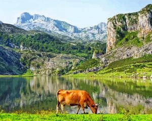 Parque Nacional De Los Picos paint by numbers