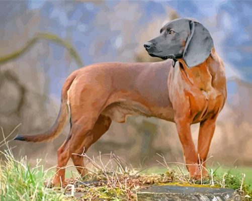 scent hound paint by numbers