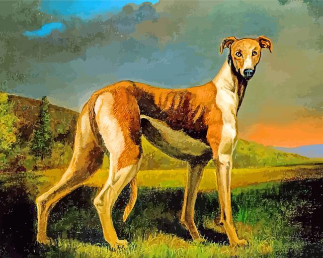 Scent Hounds Animal paint by number