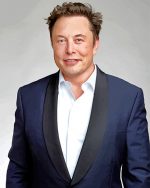 Elon Musk paint by numbers
