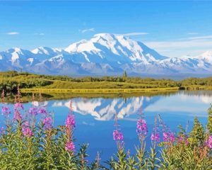Snowy Mountains Alaska paint by Numbers