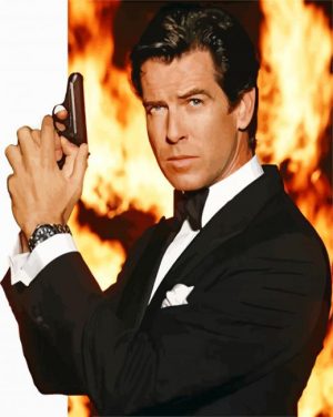 James Bond Pierce Brosnan paint by numbers