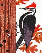 Picchio Bird paint by numbers