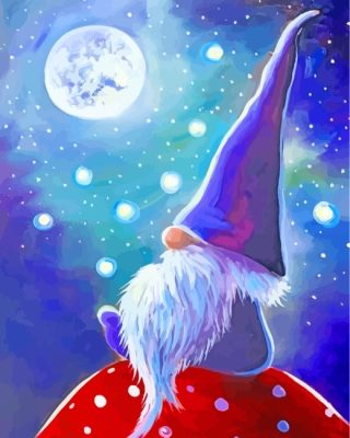 Magical Gnome Paint by numbers
