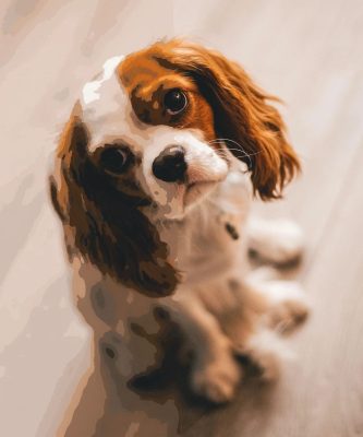 Paint By Numbers dog